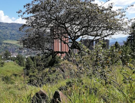 Montaña Corrales