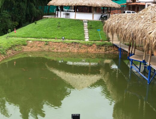 Criadero Villa Piedad