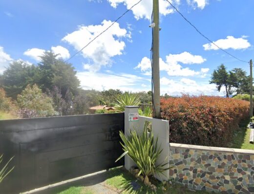 Lino House